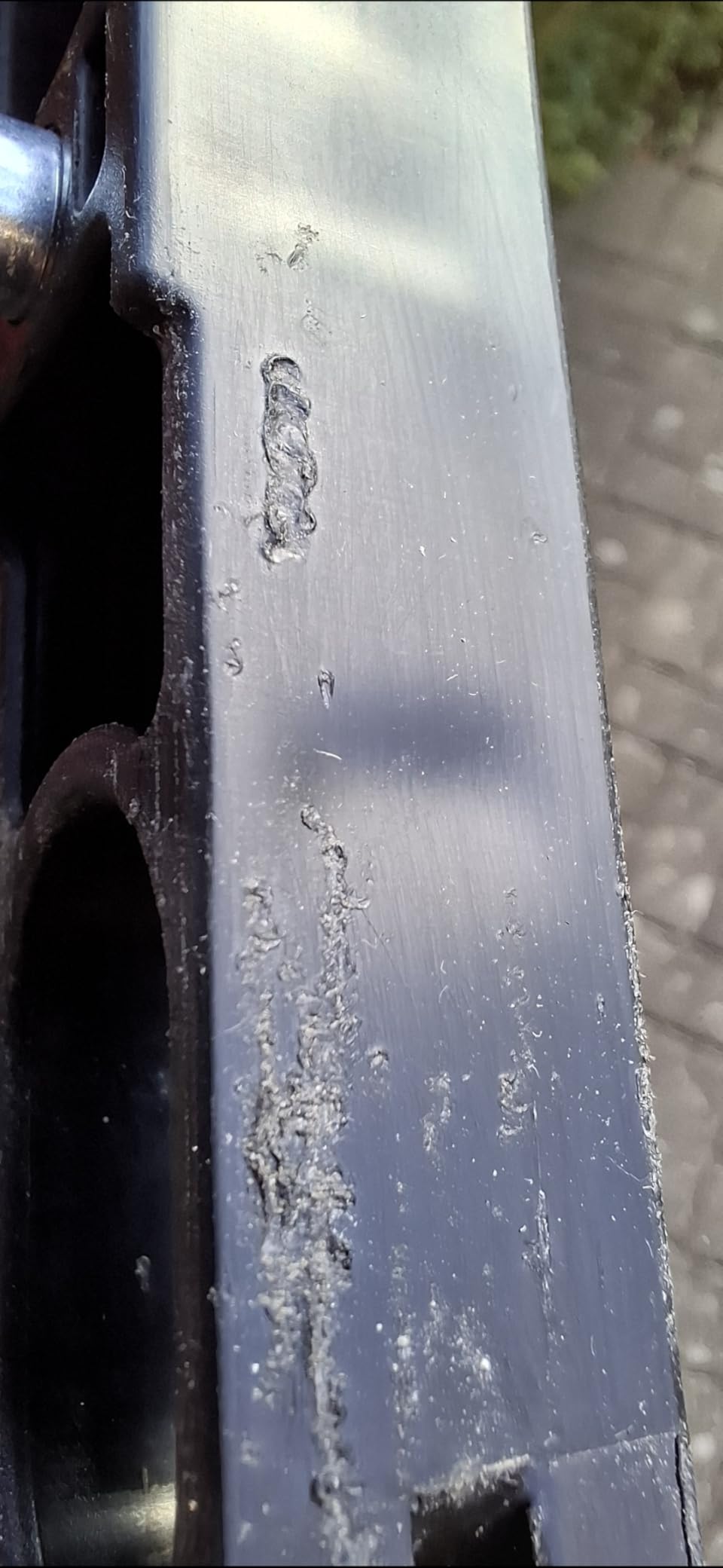 Wächst mit