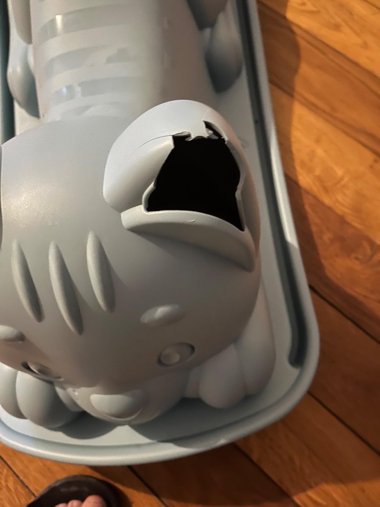 Süße Katze
